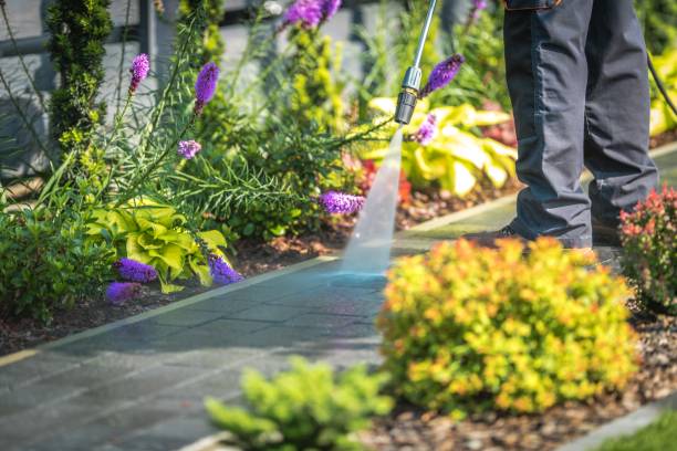 Best Parking Lot and Garage Cleaning  in Edinburg, TX